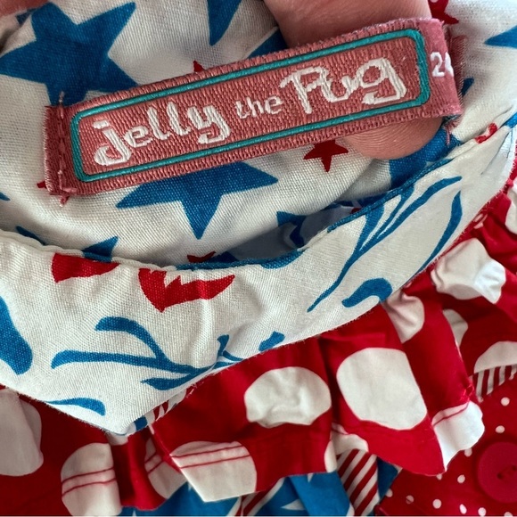 Jelly the Pug Fourth of July Patriotic Ruffle Dress in Red White Blue 24 Months - Picture 7 of 13